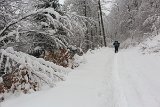 IMG 8278