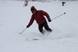 IMG 0666