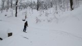 IMG 0669
