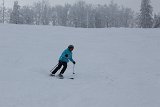 IMG 0704