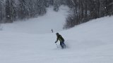 IMG 0705