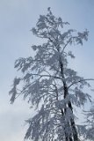 IMG 0708