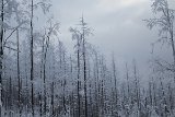 IMG 0709
