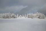 IMG 0641