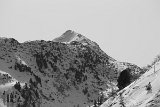 IMG 0875