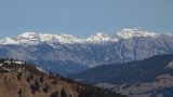 IMG 0884
