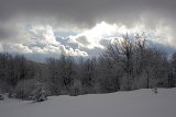 IMG 0732