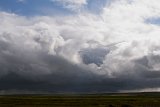 IMG 0666
