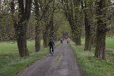 IMG 3494
