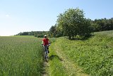 IMG 3608