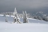 IMG 0481