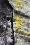 IMG 9871